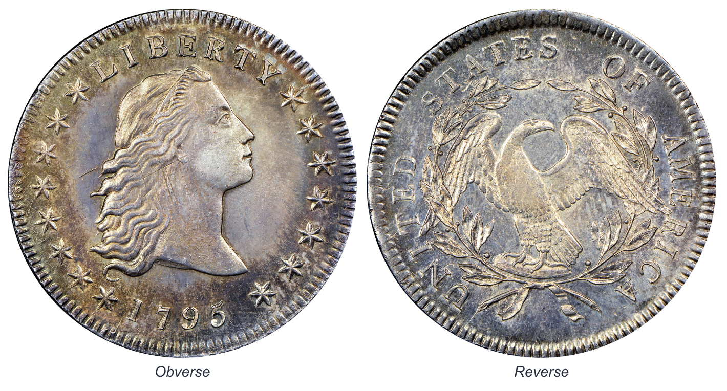 1795 Flowing Hair $1 Dollor