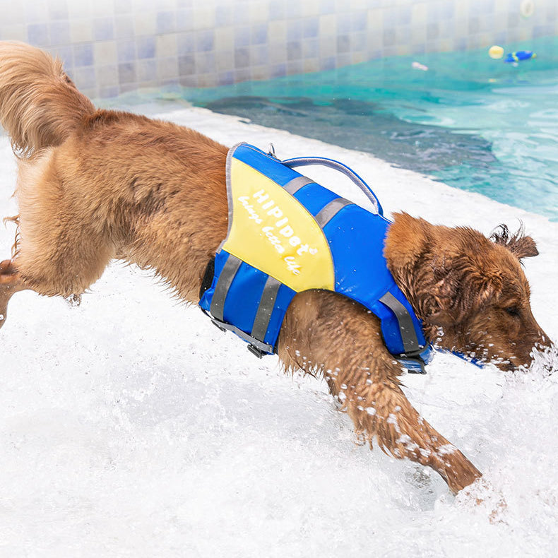 Dog Outdoor Swimming Life Jacket Swimsuit