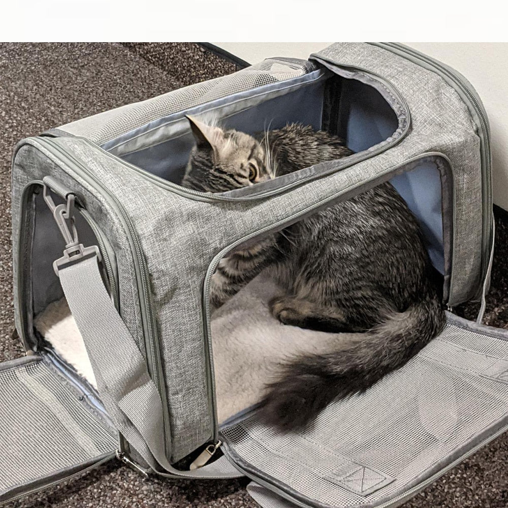 Portable Travel Pet Bag For Outing Pet Carrier