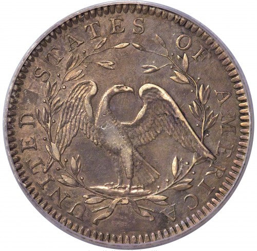1794 Liberty Flowing Hair Silver Dollor