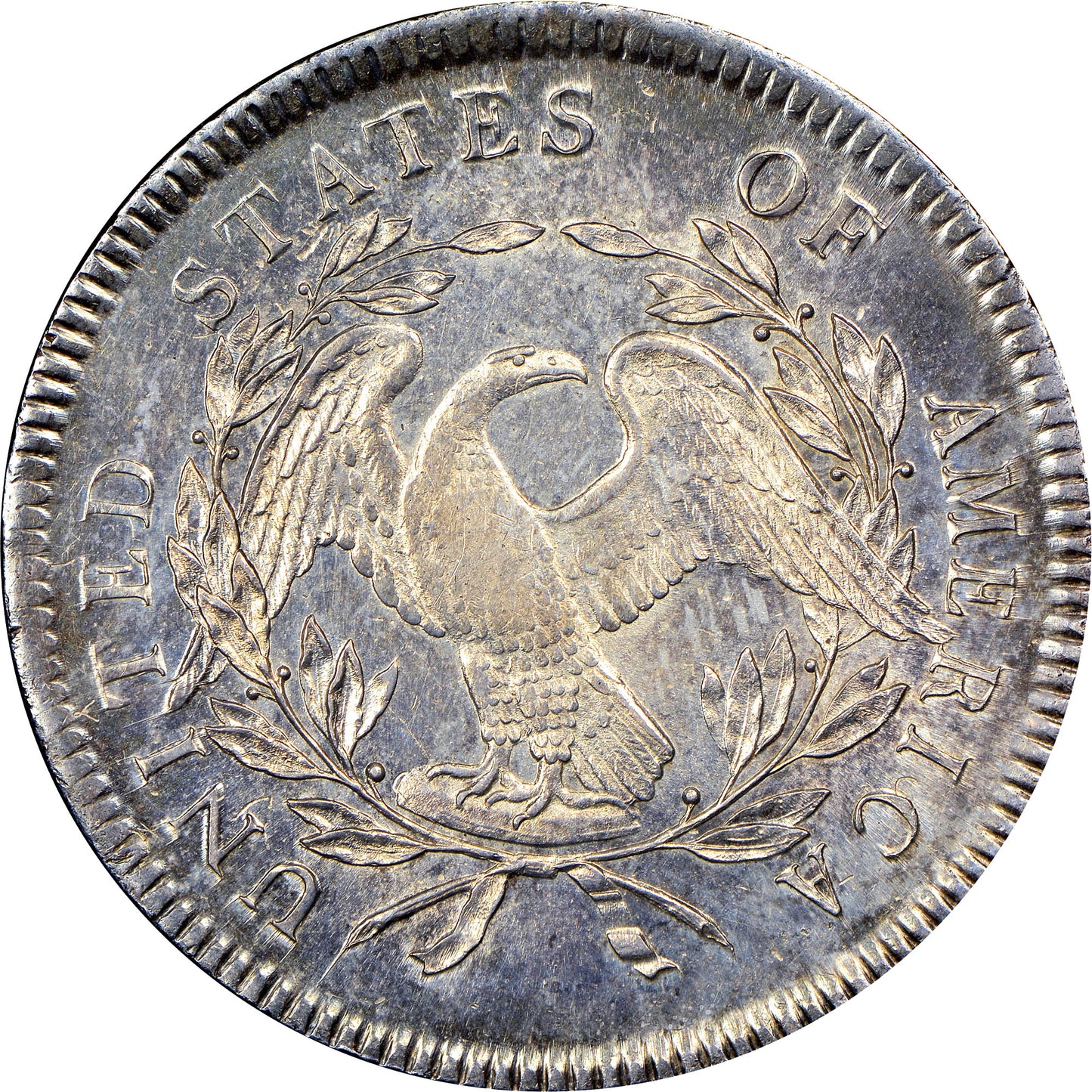 1795 Flowing Hair $1 Dollor